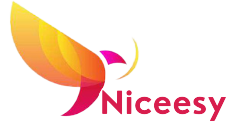Niceesy.com Coupons and Promo Code